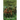 Flashman's Escape