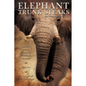 ELEPHANT TRUNK STEAKS and Other Adventure Stories