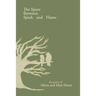 The Space Between Spark and Flame