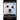 Maltese Puppy Training Book for Maltese Puppies By D!G THIS DOG Training, From the Car Ride Home Training Begins, Maltese Puppy Training