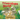 Triceratops Stomp