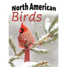 North American Birds