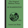 The Bobbsey Twins In Washington