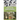 Death in the Memorial Garden
