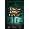 A Wizard Comes Calling
