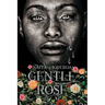 Gentle Rose
