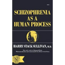 Schizophrenia as a Human Process