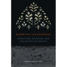 Darwin's Cathedral: Evolution, Religion, and the Nature of Society