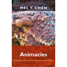 Animacies: Biopolitics, Racial Mattering, and Queer Affect