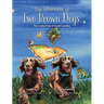 The Adventures of Two Brown Dogs: The Lovely State of South Carolina
