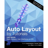 Auto Layout by Tutorials (First Edition): Build Dynamic User Interfaces on iOS