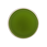 Matcha by Open Door Tea CT