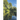 121 Ways Jesus Was There for Me: My Faith Became Unshakable throughout My Mom's Alcoholism
