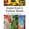 Angie Scarr's Colour Book: Nature's Colours For Polymer Clay
