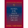 Abingdon Old Testament Commentaries: Hosea, Joel, Amos, Obadiah, Jonah, Micah: Minor Prophets