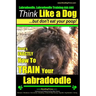 Labradoodle, Labradoodle Training AAA AKC: Think Like a Dog, But Don't Eat Your Poop! Labradoodle Breed Expert Training: Here's EXACTLY How To TRAIN Y