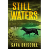 Still Waters: A Riveting Novel of Suspense