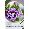 Gloxinia Plant: Plant Guide