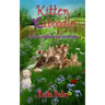 Kitten Kaboodle