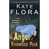 The Angel of Knowlton Park (a Joe Burgess Mystery, Book 2)