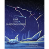 Link and the Shooting Stars