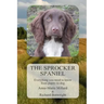 The Sprocker Spaniel: Everything you need to know from puppy to dog