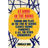 At Work in the Ruins: Finding Our Place in the Time of Climate Crises and Other Emergencies