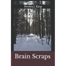 Brain Scraps