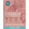 Uterus: A new perspective