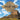 The Oregon Trail: A Historic Route US History Books Grade 5 Children's American History