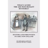 What Caused the 1692 Witchcraft Hysteria: Hysteria and Forgiveness in Early New England