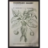 Shakespeare's Imagery and What it Tells Us
