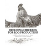 Breeding Chickens For Egg Production