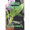 Orchid Care Guide: Everything You Need To Know About Orchid. How To Water, Fertilize And Take Proper Care Of Them.