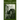 Translating Neruda: The Way to Macchu Picchu