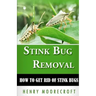 Stink Bug Removal: How to Get Rid of Stink Bugs