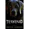Tethered: County Line Horror #4