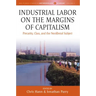 Industrial Labor on the Margins of Capitalism: Precarity, Class, and the Neoliberal Subject