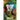 Oblivion in Flux