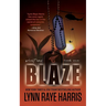 Blaze: A Small Town, Nerdy Girl, Opposites Attract, Protector Romance
