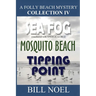 A Folly Beach Mystery Collection IV