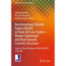 Benchmarking Chloride Ingress Models on Real-Life Case Studies--Marine Submerged and Road Sprayed Concrete Structures: State-Of-The-Art Report of the