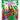 The Beginner's Bible the Very First Easter: An Easter Book for Kids