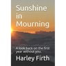 Sunshine in Mourning: A look back on the first year without you.