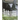 The Shetland Pony: His Breeding, Care and Training