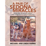 A Pair of Sedona Miracles: Life as Seen by Sam and Athena a Pair of Hybrids in a Land of Conformity