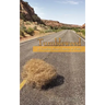 Tumbleweed: A Traveling Nurses Stories of Faith