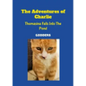 The Adventures of Charlie: Thomasina Falls Into The Pond