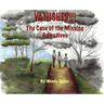Vanished. The Case Of The Missing Adjectives