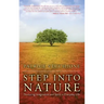 Step Into Nature: Nurturing Imagination and Spirit in Everyday Life